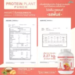 Protein PLANT Plant protein formula 1 flavor, punch, protein from 3 types of plants, Orange, peas and potatoes, 1 bottle of 2.27 kg.