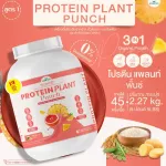 Protein PLANT Plant protein formula 1 flavor, punch, protein from 3 types of plants, Orange, peas and potatoes, 1 bottle of 2.27 kg.