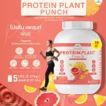 Protein PLANT Plant protein formula 1 flavor, punch, protein from 3 types of plants, Orange, peas and potatoes, 1 bottle of 2.27 kg.