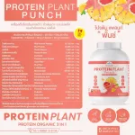 Protein PLANT Plant protein formula 1 flavor, punch, protein from 3 types of plants, Orange, peas and potatoes, 1 bottle of 2.27 kg.