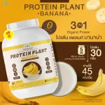 Protein PLANT Plant protein formula 1 flavor, banana, protein from 3 types of plants, Orange, peas and potatoes, 1 bottle of 2.27 kg.