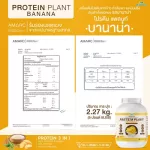 Protein PLANT Plant protein formula 1 flavor, banana, protein from 3 types of plants, Orange, peas and potatoes, 1 bottle of 2.27 kg.