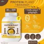 Protein PLANT Plant protein formula 1 flavor, banana, protein from 3 types of plants, Orange, peas and potatoes, 1 bottle of 2.27 kg.