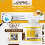 Protein PLANT Plant protein formula 1 flavor, banana, protein from 3 types of plants, Orange, peas and potatoes, 1 bottle of 2.27 kg.