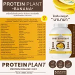 Protein PLANT Plant protein formula 1 flavor, banana, protein from 3 types of plants, Orange, peas and potatoes, 1 bottle of 2.27 kg.