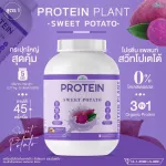 Protein PLANT Plant protein 1 recipe, purple, 3 types of plants, Oregine, peas and potatoes, 1 bottle of 2.27 kg.
