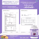 Protein PLANT Plant protein 1 recipe, purple, 3 types of plants, Oregine, peas and potatoes, 1 bottle of 2.27 kg.