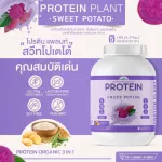 Protein PLANT Plant protein 1 recipe, purple, 3 types of plants, Oregine, peas and potatoes, 1 bottle of 2.27 kg.