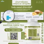 Protein PLANT Plant protein formula 1 flavor, green tea, matcha, protein from 3 types of plants, Orange, peas and potatoes, 1 bottle of 2.27 kg.