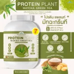 Protein PLANT Plant protein formula 1 flavor, green tea, matcha, protein from 3 types of plants, Orange, peas and potatoes, 1 bottle of 2.27 kg.