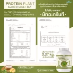 Protein PLANT Plant protein formula 1 flavor, green tea, matcha, protein from 3 types of plants, Orange, peas and potatoes, 1 bottle of 2.27 kg.