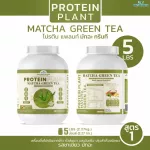 Protein PLANT Plant protein formula 1 flavor, green tea, matcha, protein from 3 types of plants, Orange, peas and potatoes, 1 bottle of 2.27 kg.