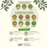 3 vertech nutrition plants Plant Protein Superfoods & Greens, Vigan, vegetables, fruits, fiber, weight loss
