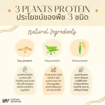 3 vertech nutrition plants Plant Protein Superfoods & Greens, Vigan, vegetables, fruits, fiber, weight loss