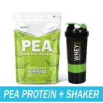 MATELL Pea Protein Isolate พี โปรตีน ไอโซเลท ถั่วลันเตา Non Whey โปรตีนพืช Plantbased แถม แก้วเชค สุ่มสี Shaker 600 ml