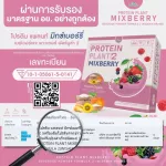 Protein PLANT Plant protein 2, lynic berry, protein from rice, peas.