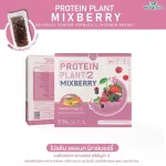 Protein PLANT Plant protein 2, lynic berry, protein from rice, peas.