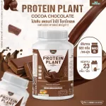 Protein PLANT Plant protein 2 flavors of cocoa, chocolate protein, 5 types of plants, free, free, 23 pieces of pearls, 1 bottle of 920 grams.
