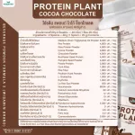 Protein PLANT Plant protein 2 flavors of cocoa, chocolate protein, 5 types of plants, free, free, 23 pieces of pearls, 1 bottle of 920 grams.