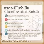 โปรตีน กิฟฟารีน เวย์โปรตีน โซย่า-เวย์ โปรตีน โปรตีนสกัดเข้มข้น โปรตีนถั่วเหลืองและนม ไม่มีไขมัน สร้างกล้ามเนื้อ ลดน้ำหนัก เพิ่มน้ำหนัก
