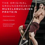 Muscletech Nitrotech Original 2.2LB - Milk Chocolate - Whey protein, low -fat muscle, 2.2 pounds of chocolate chocolate