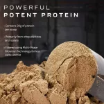 Muscletech Nitrotech Original 2.2LB - Vanilla Cream - Whey protein, low -fatty -fat, vanilla flavor, size 2.2 pounds