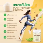 Matill Plant-Based Protein Isolate Base Base I Solert Non Whey Plant-based Plant Protein Plant-based
