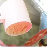 100% Fit Angel Soy Protein Isolate 2 LB 100% soy protein