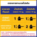 กระปุกแพ็คคู่ รสชาไทย+ รสช็อกโกแลตBiovitt Whey Protein Isolate ไบโอวิต เวย์โปรตีน ไอโซเลท สูตรลีนไขมัน เพิ่มมวลกล้ามเนื้อ | 2 ปอนด์