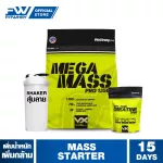 Vitaxtrong Mass Starter, 6 LBS whey protein, gaining weight/muscle building