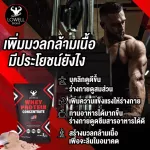 Lowell whey protein increase weight, increase protein muscles, 27G BCAA4.6G, cocoa flavor, size 2.2 pounds, free check