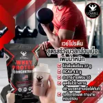 Lowell whey protein increase weight, increase protein muscles, 27G BCAA4.6G, cocoa flavor, size 2.2 pounds, free check