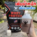 Lowell whey protein increase weight, increase protein muscles, 27G BCAA4.6G, cocoa flavor, size 2.2 pounds, free check