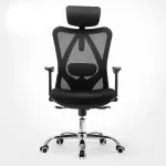 Ergonomic M18 SIHOO computer chair