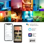 Wiz by Philips Tunable White Bulb 9w, a single white light bulb, can control through the app.