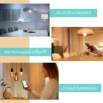 Wiz by Philips Tunable White Bulb 9w, a single white light bulb, can control through the app.