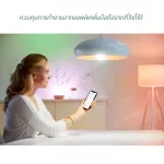 Wiz by Philips Tunable White Bulb 9w, a single white light bulb, can control through the app.
