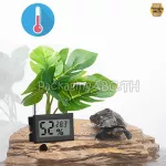 Humidity meter measuring temperature, humidity and digital temperature, fast delivery from Thailand, has a ready -to -use charcoal.