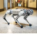 4 -legged dog robot Quadruped Robot, Robodog robot. Contact for products before ordering.