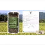 Jasmine brown rice 105 organic organic USDA standards, size 1,000 grams
