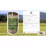 Jasmine rice 105 organic organic USDA standards, size 1,000 grams