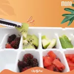 Clip Pac Mono ที่ทำน้ำแข็ง ถาดทำน้ำแข็ง ช่องทำน้ำแข็ง มีให้เลือก 2 แบบ มี BPA Free