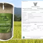 105 organic jasmine rice from organic farms