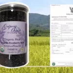 Organic Rice Berry