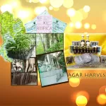 Agarhargest Powder Genuine Krit Powder, Cruzzled Grande 4A, Premium. Pure Fragrance Agarwood Powder 4A, 1 bottle 12 grams