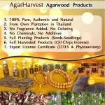Agarharavest, incense sticks, Krisana, Authentic Fragrant wood, grade 3A, medium fragrance, Pure Fragrance Agarwood Incense Cone Grade 3A, 1 bottle 12 grams