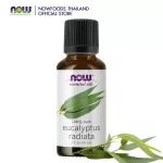 Now Foods Essential Eucalyptus Radiata Oil 30 mL 100% Pure น้ำมันหอมระเหย ยูคาลิปตัส