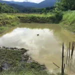 MCNENA Macina, Lemongrass spray, mosquito repellent 35 ml/mosquito repellent bottle not to bite organic, buy 2 get 1 free