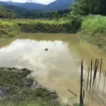 MCNENA McNee Herber Balm Herbal wax Herbal wax applied back mosquito bites MCNENA. McNee should reduce swelling, redness, no black marks, size 30 ml.