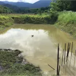 MCNENA FARM Macina Farm 350 ml of mosquito repellent lemongrass